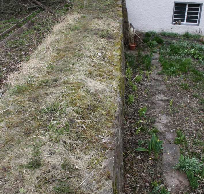 Mein Mauergarten – Neugestaltung eines Gartens ab/seit 2018