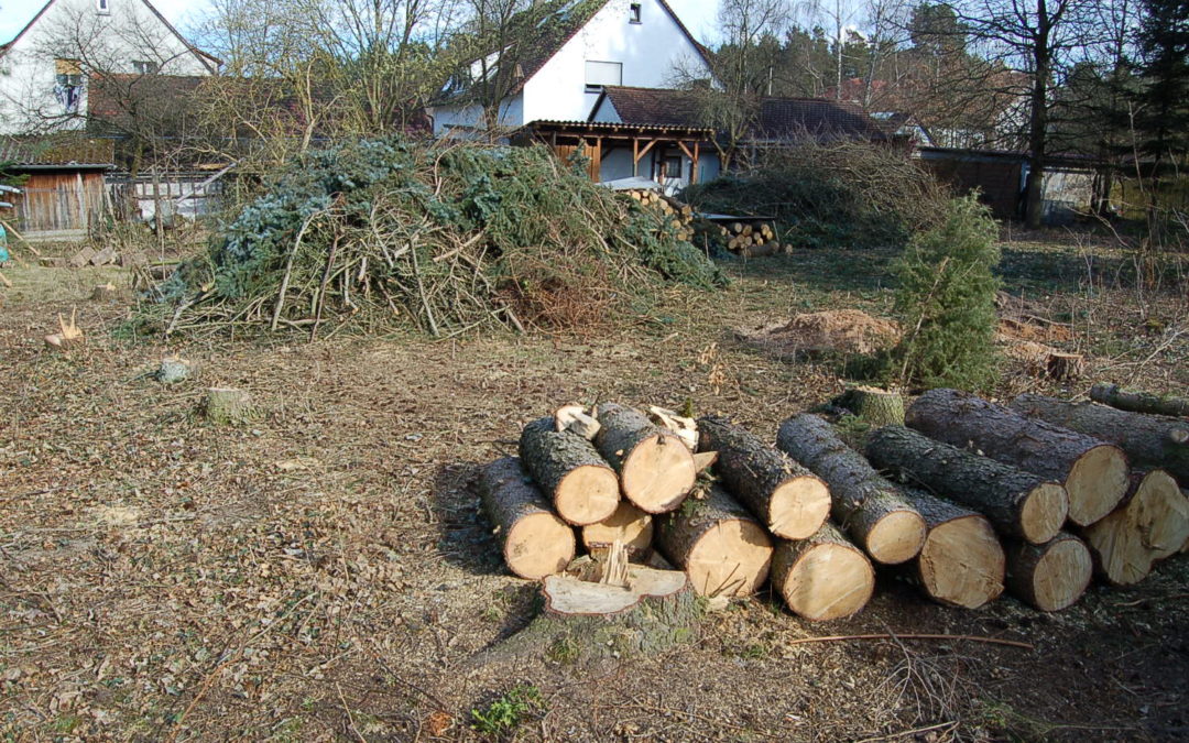 ReNa’s Bienen(t)raum