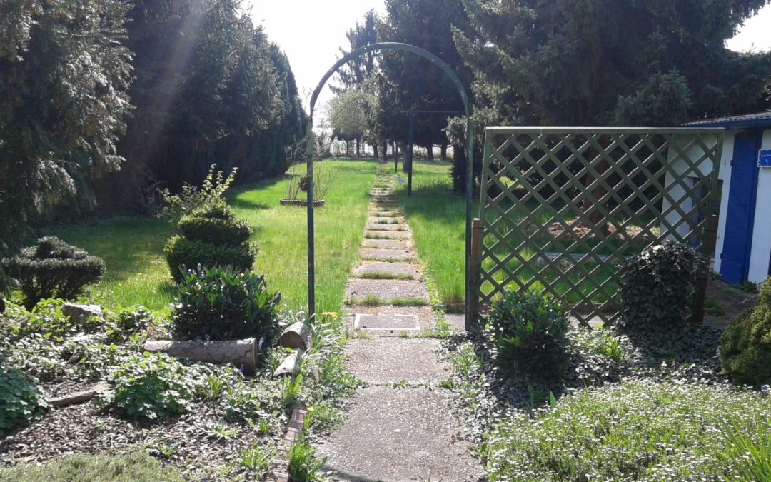 Ein Garten und viele Ideen :)