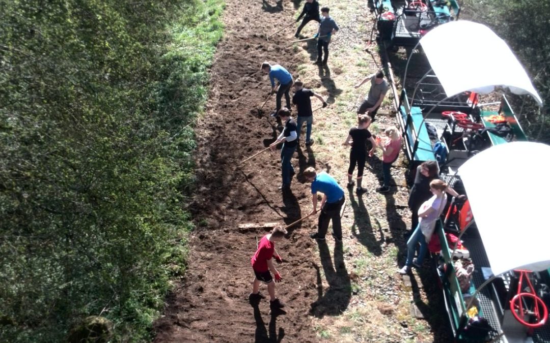 90m2 Blühstreifen entlang der Draisinenstrecke