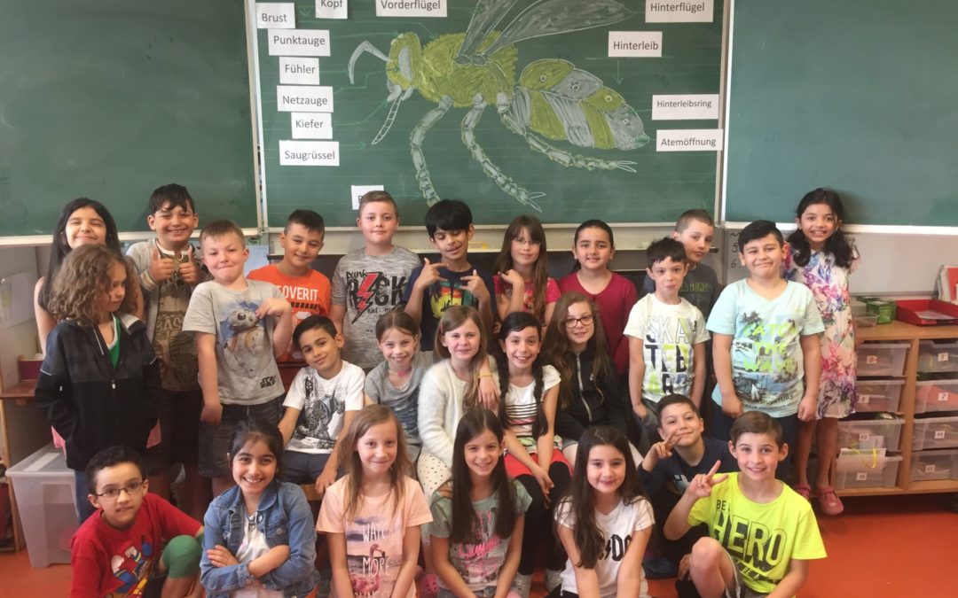 Ein Wildbienenparadies an der Heideschule