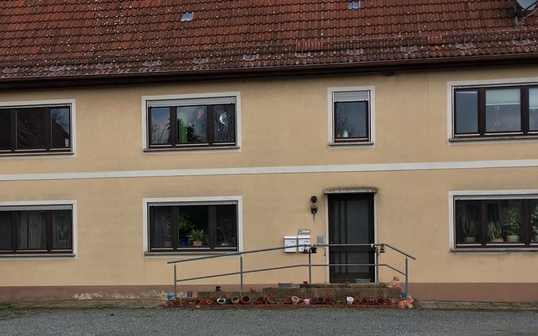 Insektenfreundliche Hausfront