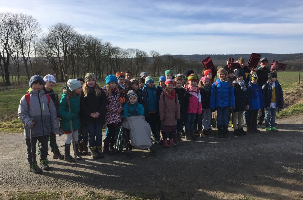 Im kleinen Paradies soll es brummen und summen!