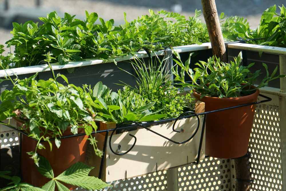 Balkon für einen Sommer