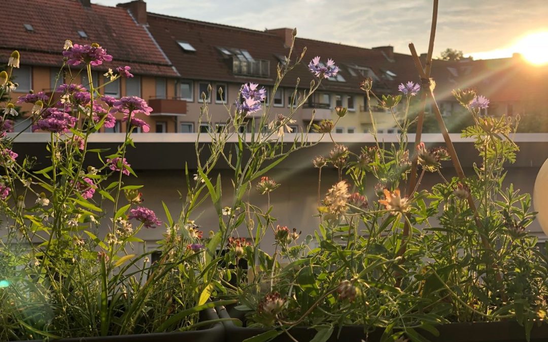 Unser Shangri-La