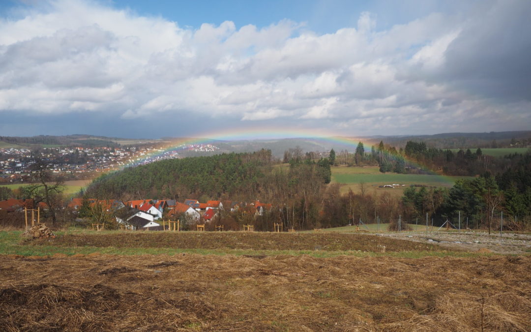 Ein Naturgarten mit Weitblick