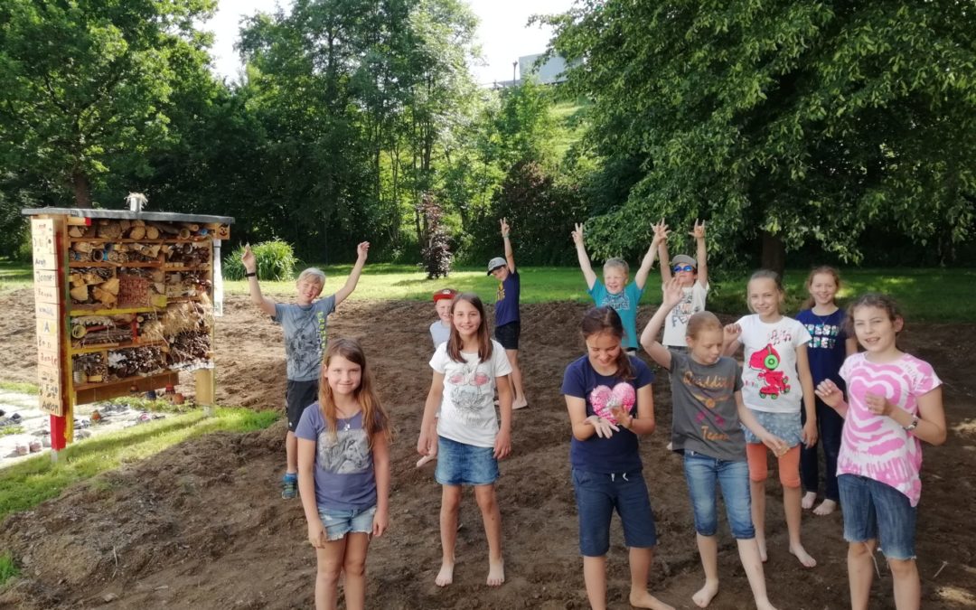 „Wir tun was für Bienen und andere Insekten“
