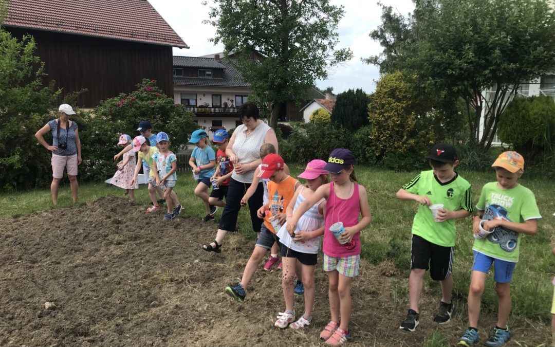 Ansaataktion im Rahmen des Ferienfreizeitprogramms der Gemeinde Zandt im Rahmen der Initiative “Zandt die blühende Gemeinde”