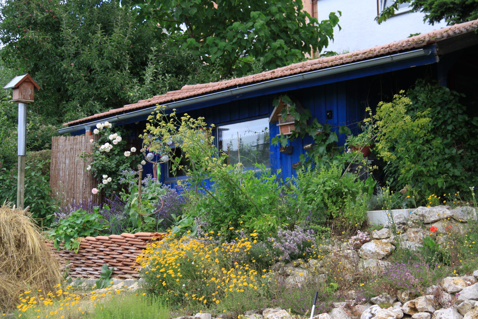 Hochbeet mit Dachschindelmauer im Hortus Aquaveganum