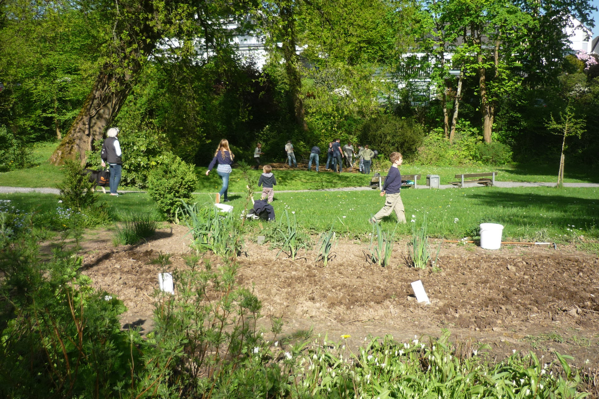Park Plietz blüht auf