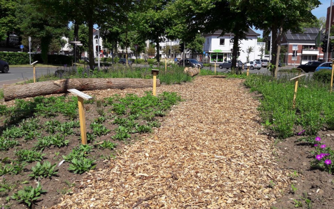 Naschgarten für Insekten und Vögel