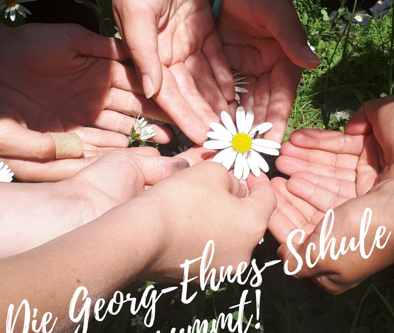 Die Georg-Ehnes-Schule summt!