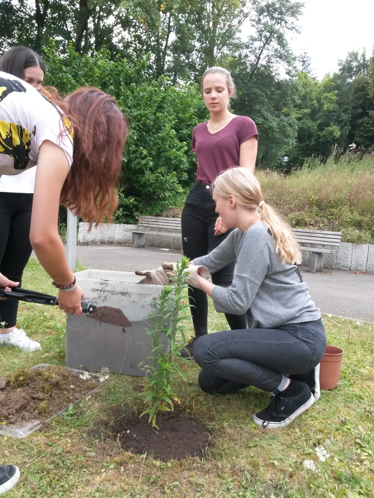 Ein Schulgarten in Kooperation mit einem Altenheim