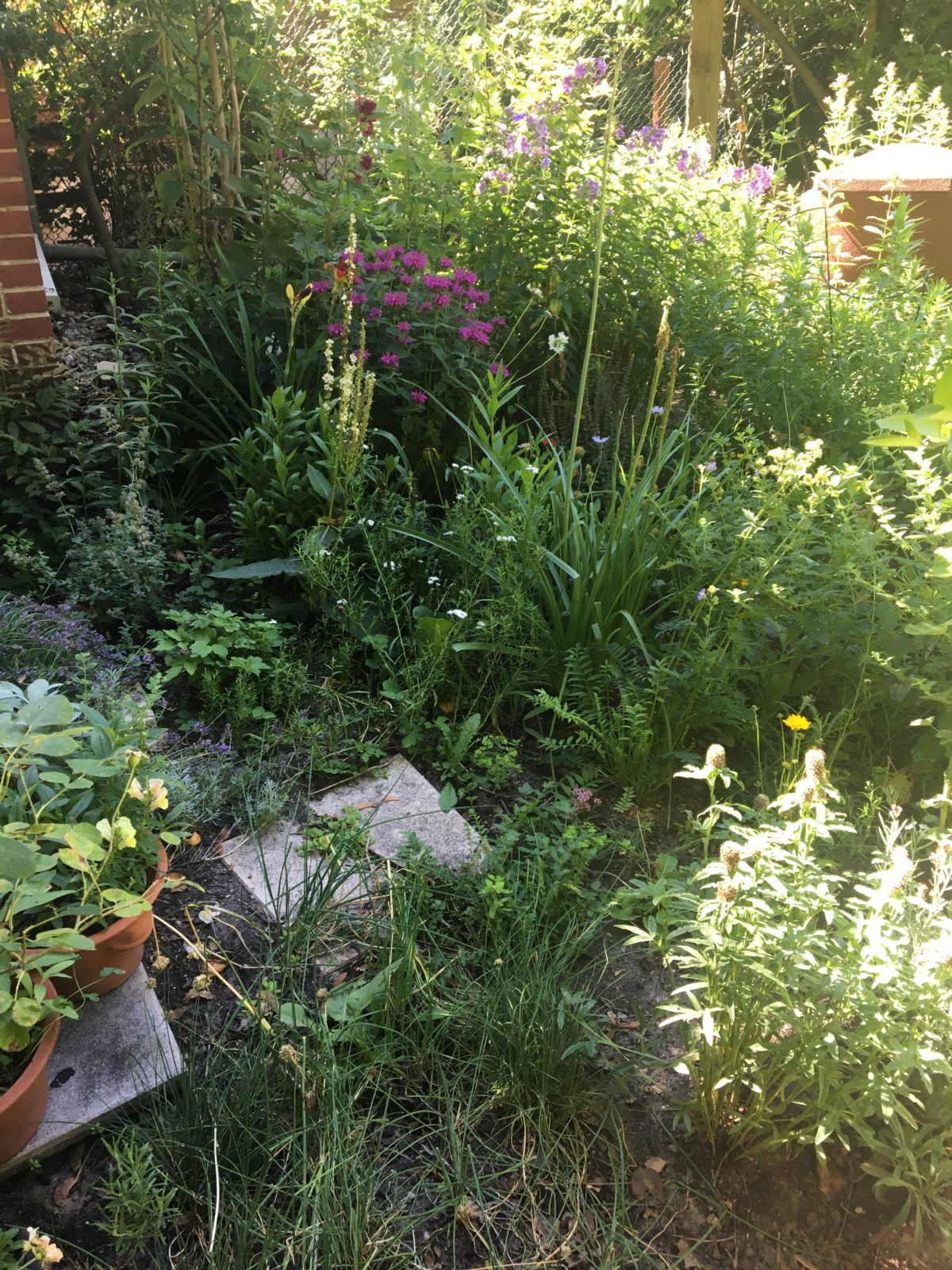 Ein Paradies für Wildbienen, Hummeln, Schmetterlinge, Vögel und Brand- und Waldmäuse