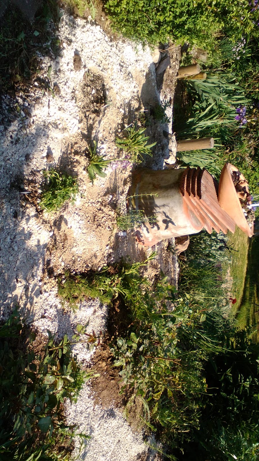 Heidis Naturgarten