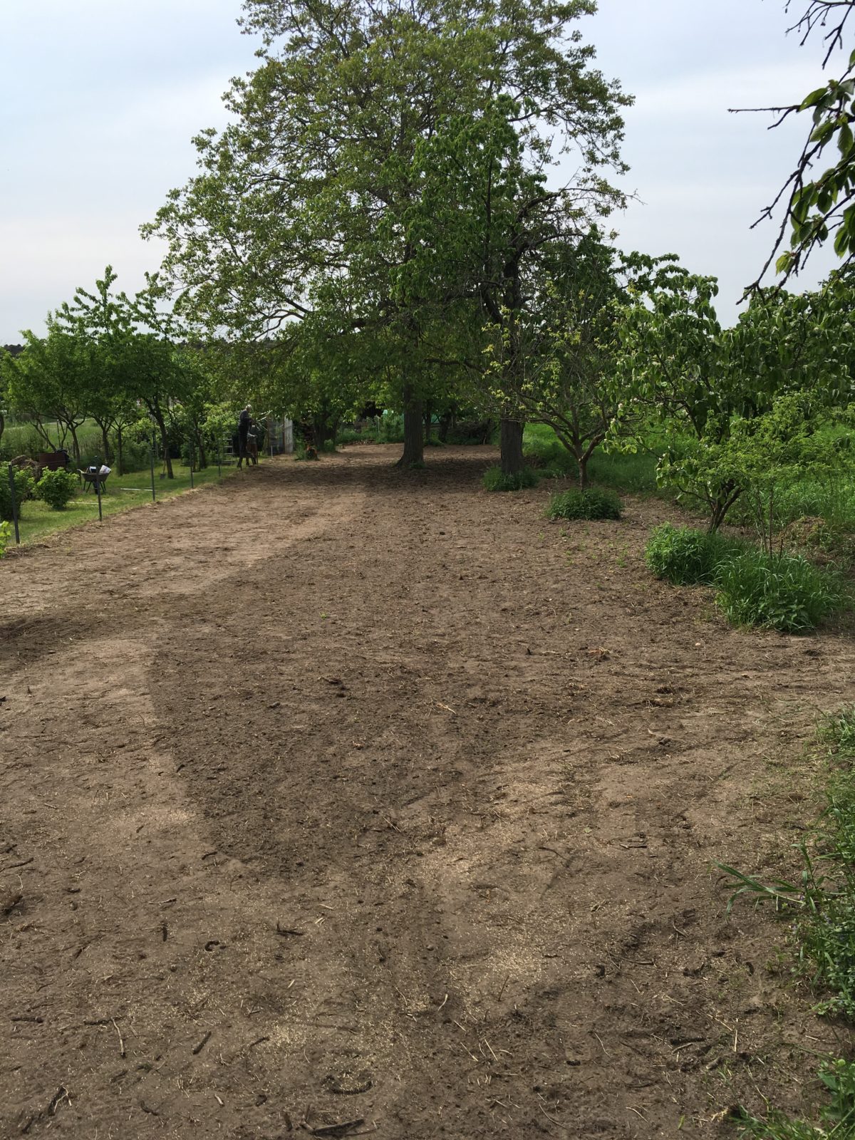Blüten und Wasser für alles was da kreucht und fleucht