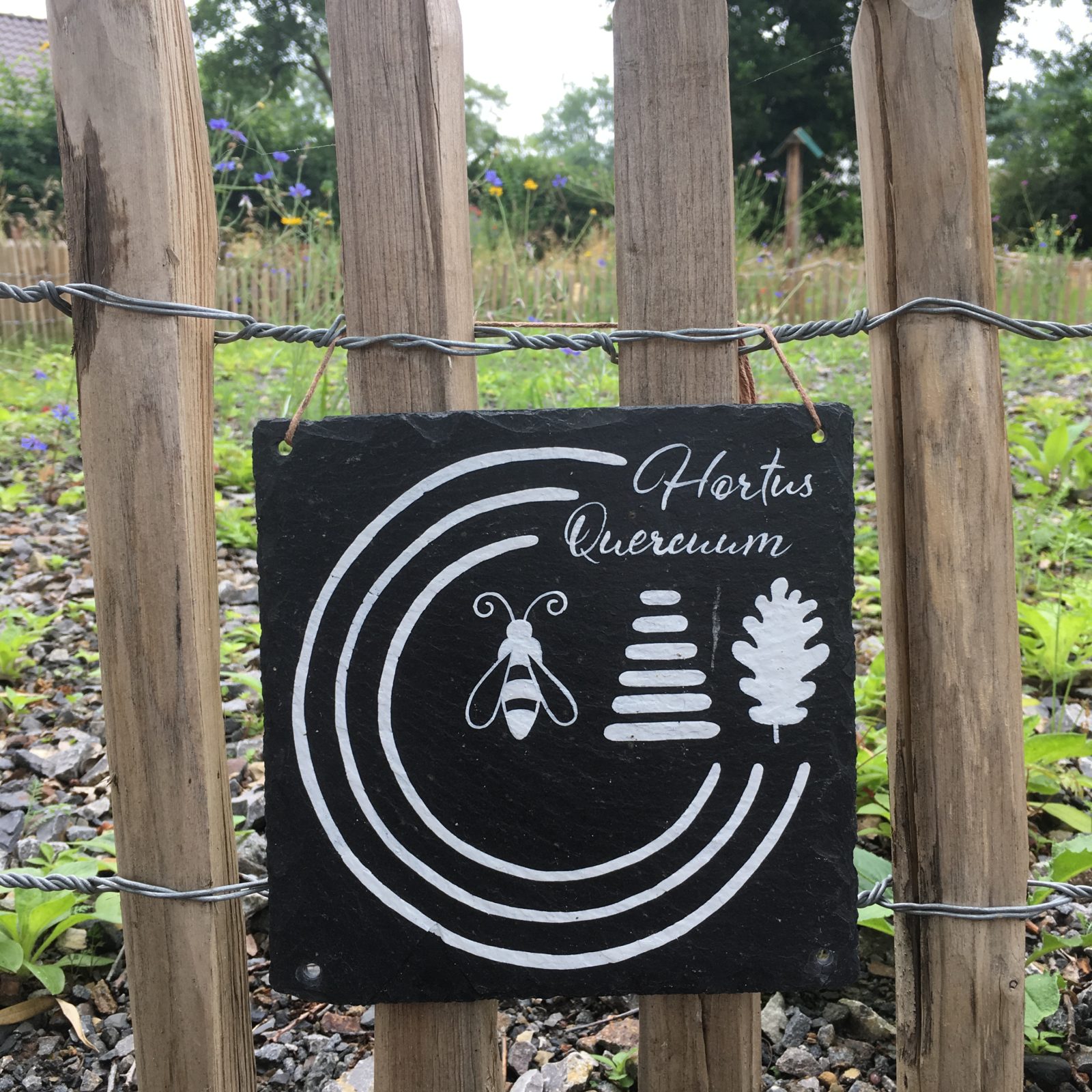 Ausgestaltung Hortus Quercuum