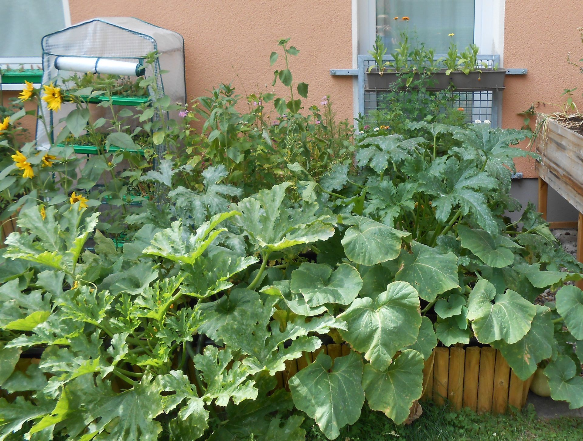 Garten statt Kiesfläche