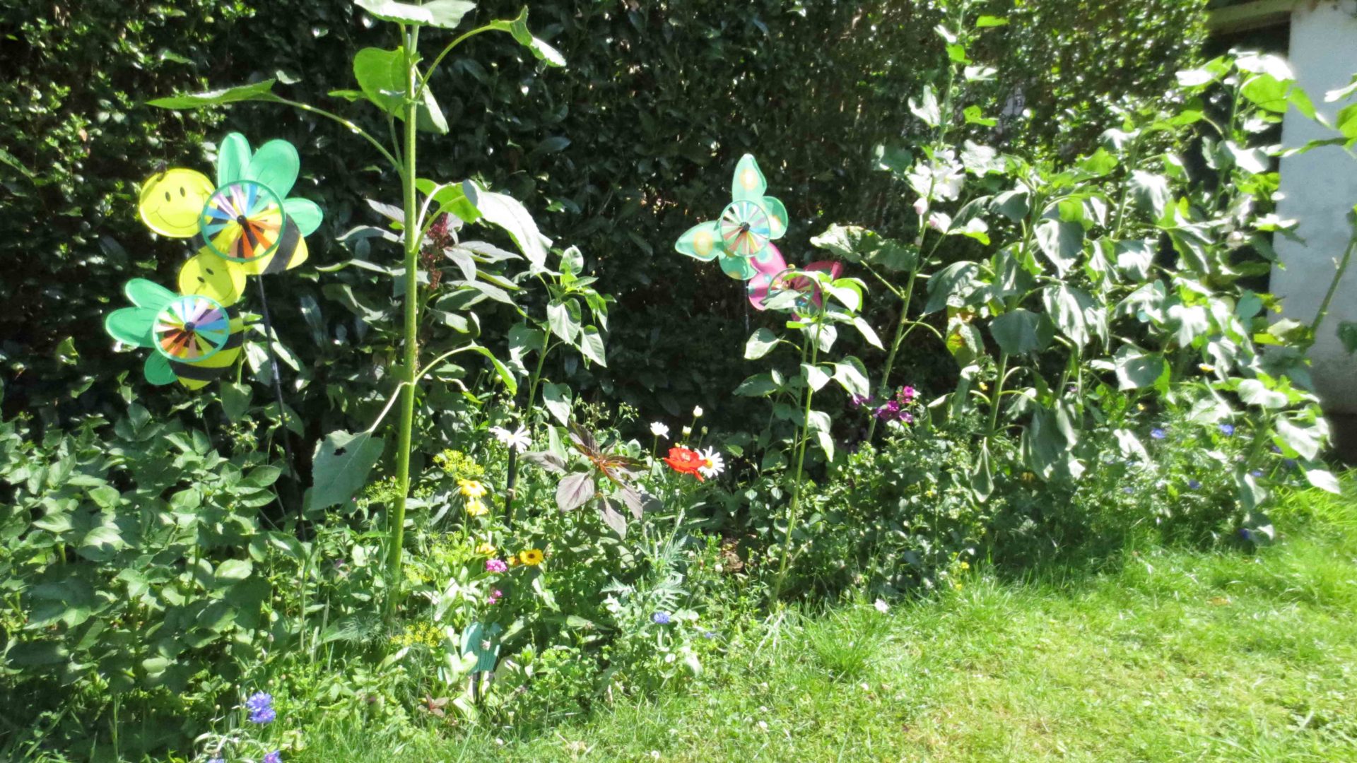 Ein Garten für Biene Maja