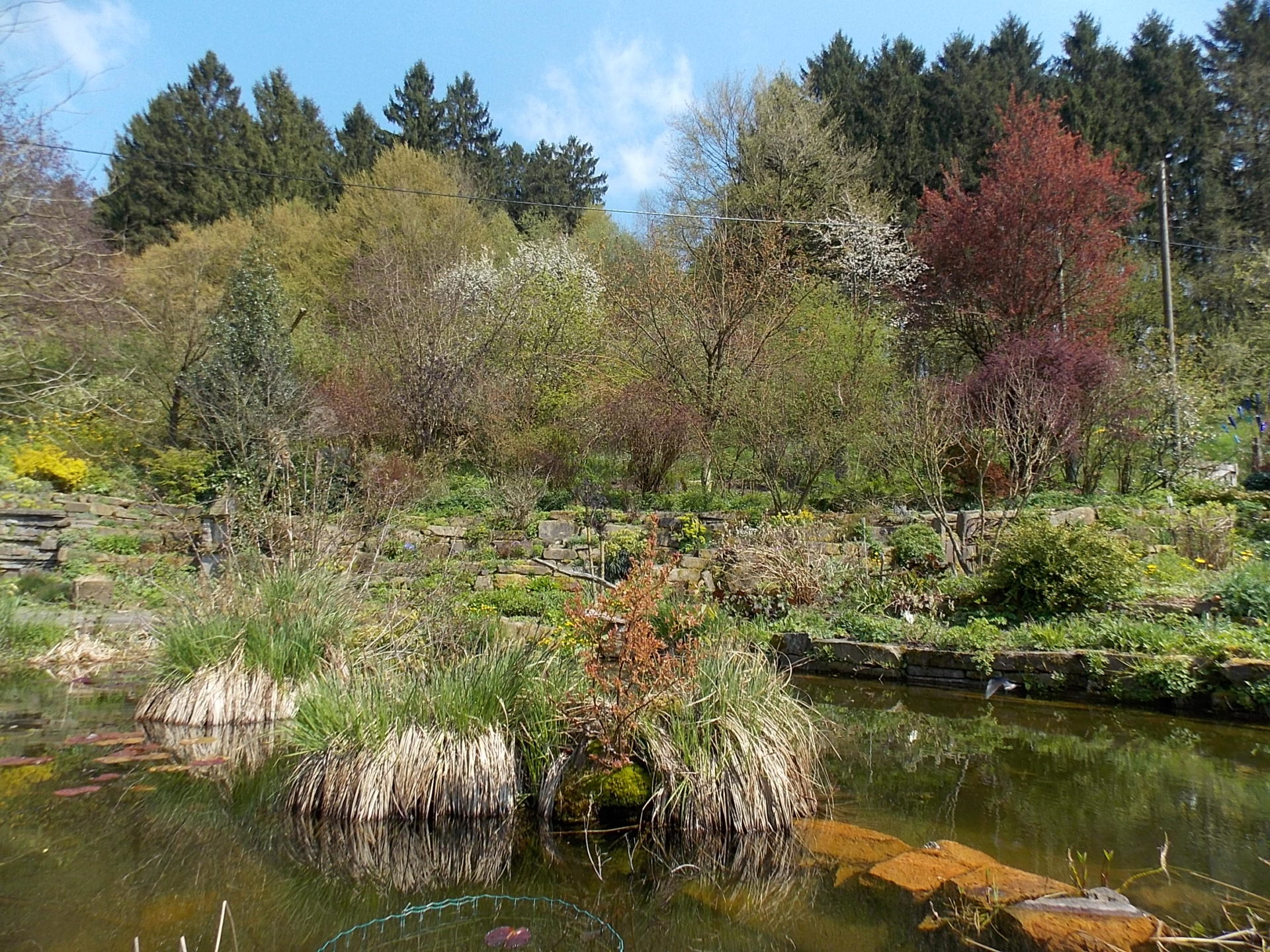 Ommertalhof  , Garten für Tiere & Menschen
