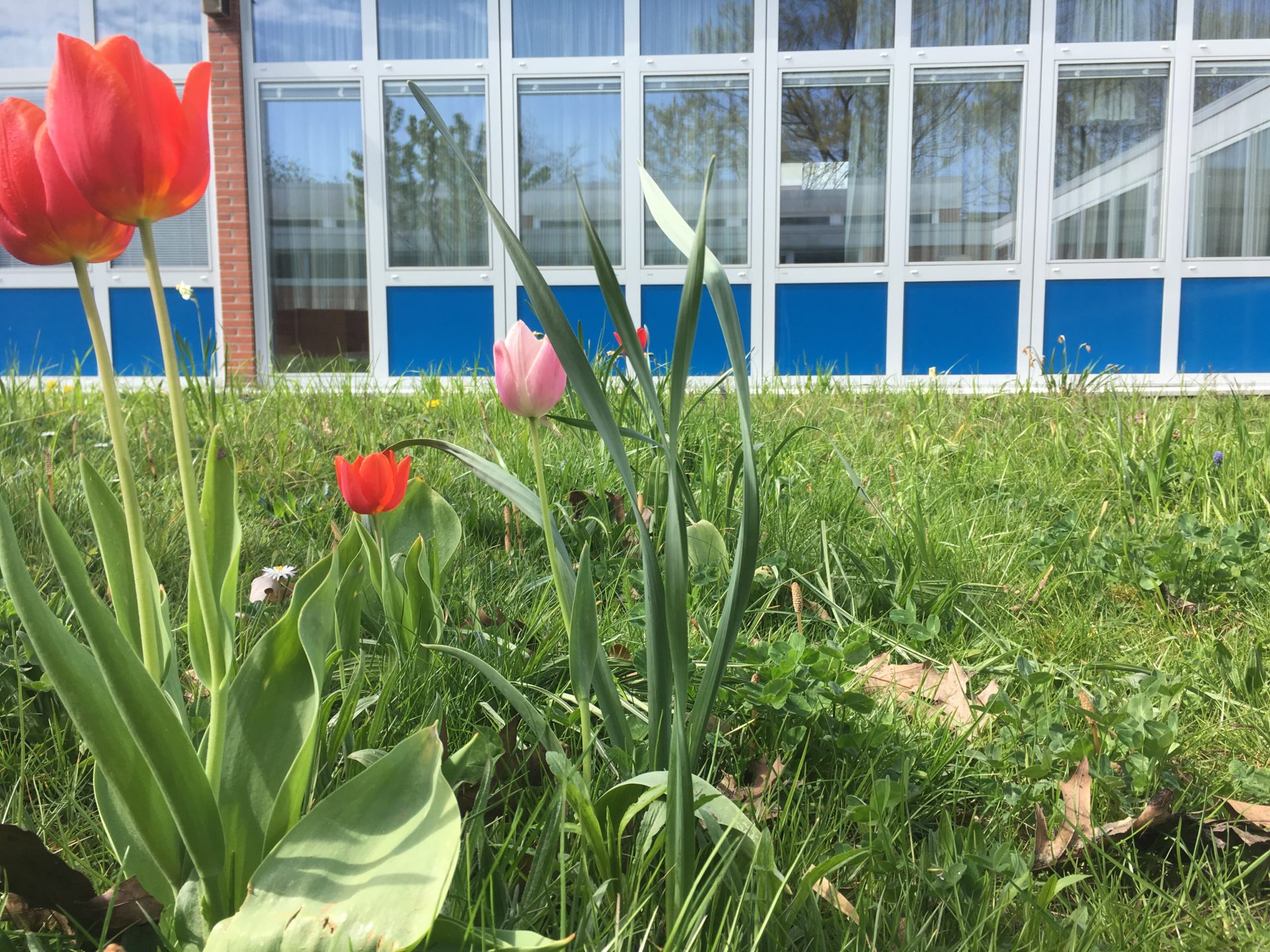 *Summ Summ Summ – Hainholz summt herum*