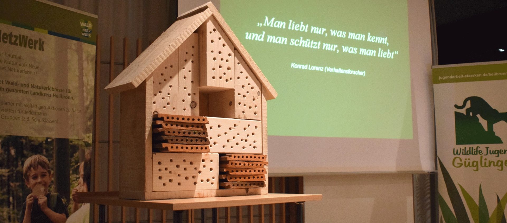 Güglingen summt Auftakt – ein Informationsabend rund um Wildbienenhäuser und ihre Bewohner*innen