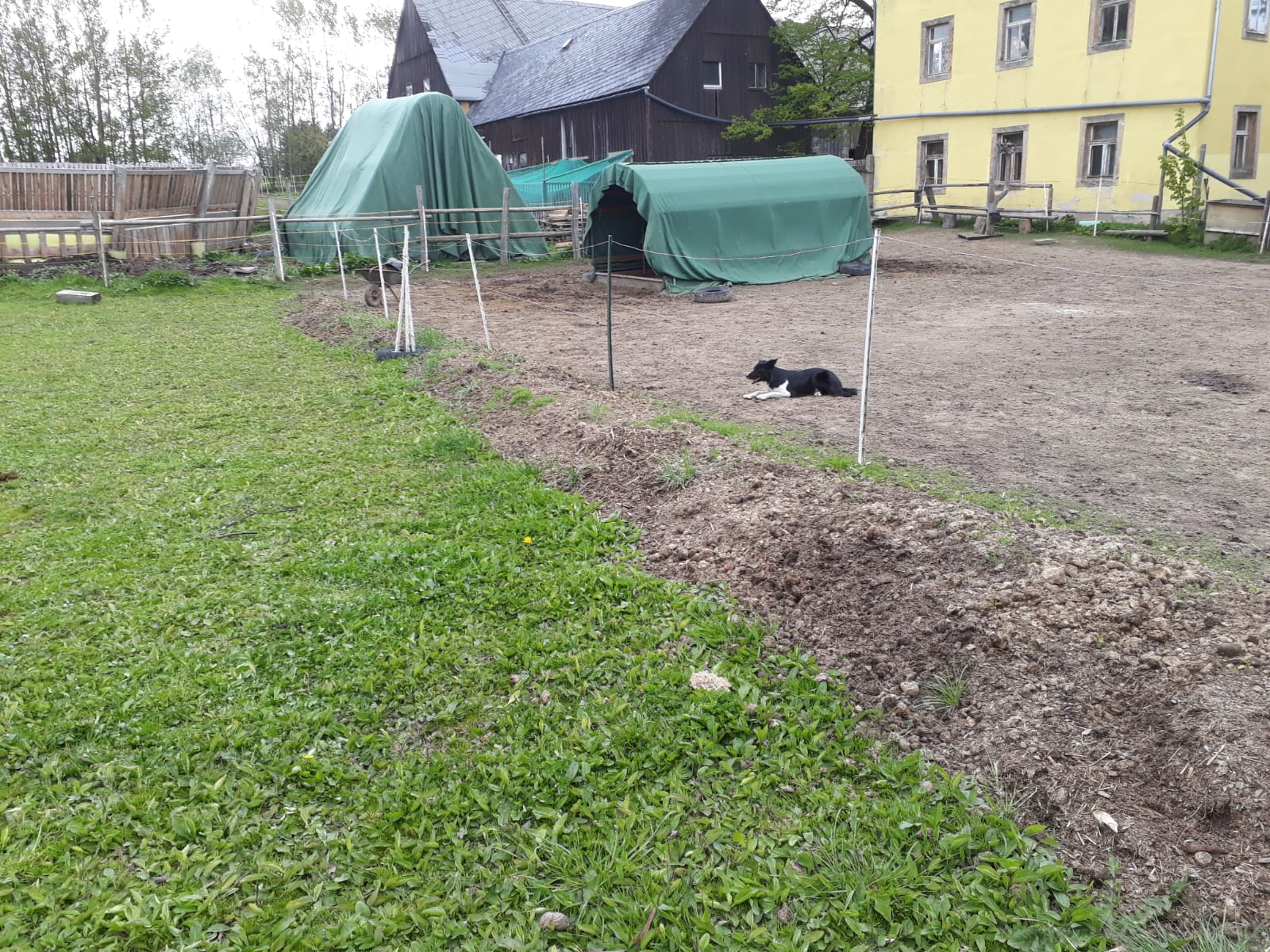 Blühender Natur- und Reiterhof Ruppert in Rosenthal