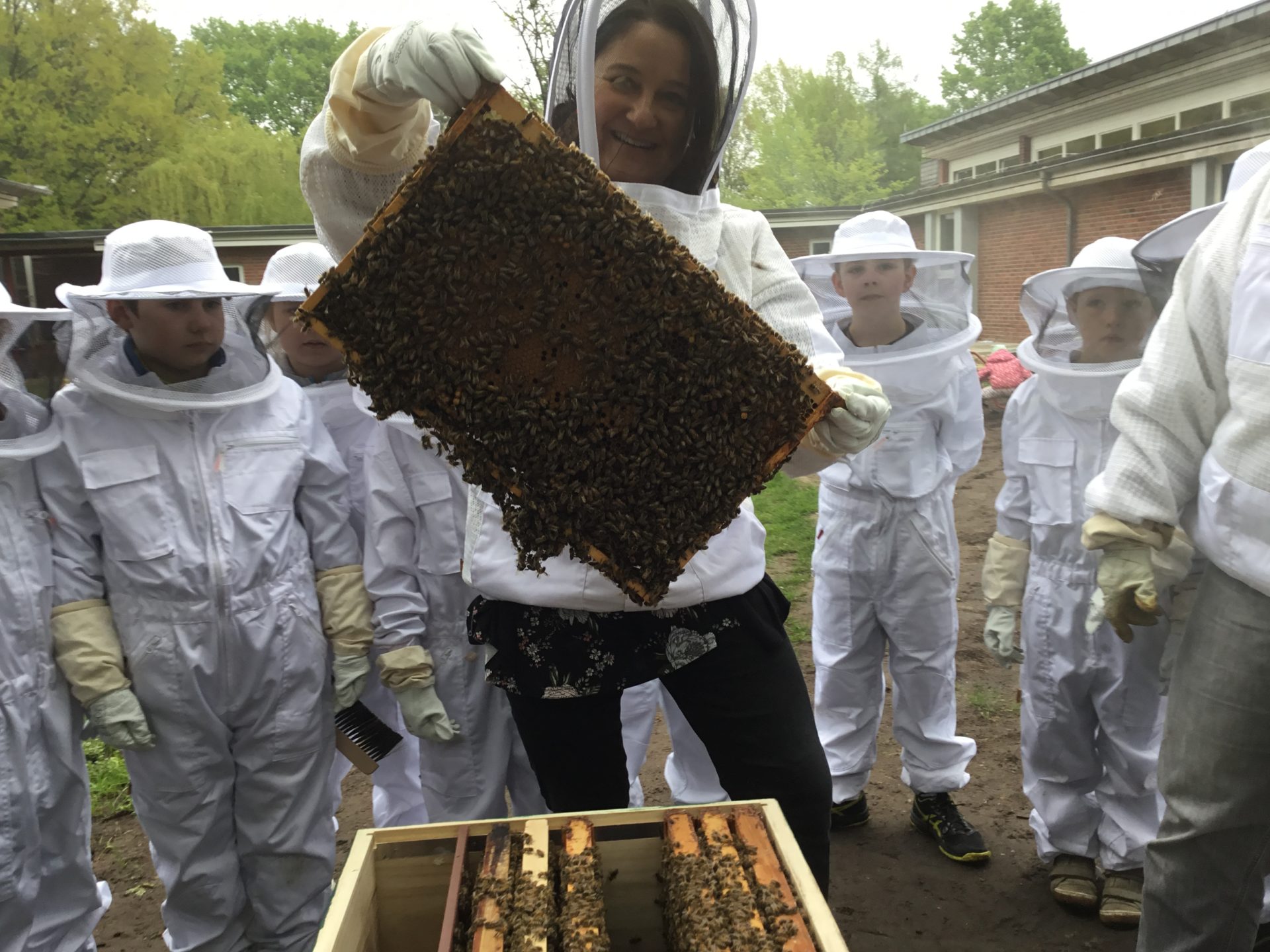 „Dietrichsfelder Bienenschule“ – Gartenaktionstag „Bienen- und Wildbienenfreundlicher Schulgarten“