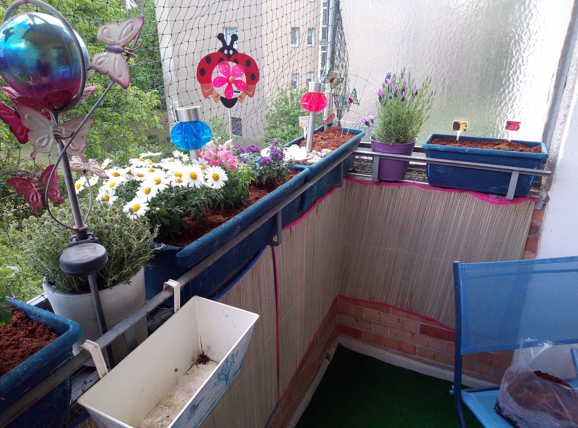Sumely’s kleiner Garten