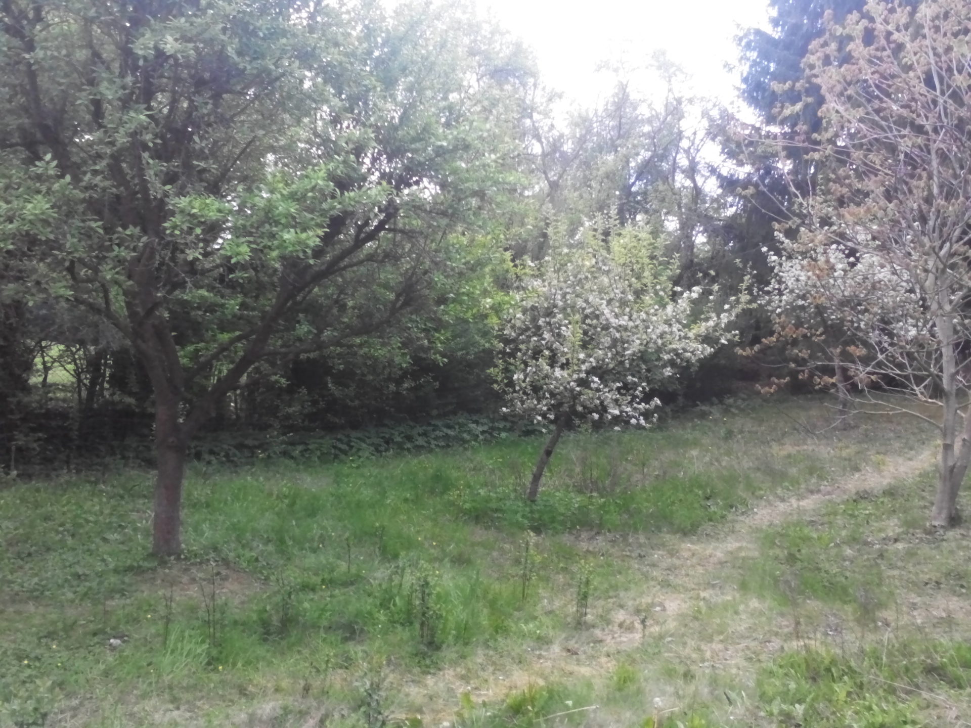 Garten Eden – Eine Oase kämpft gegen die industralisierte Landwirtschaft
