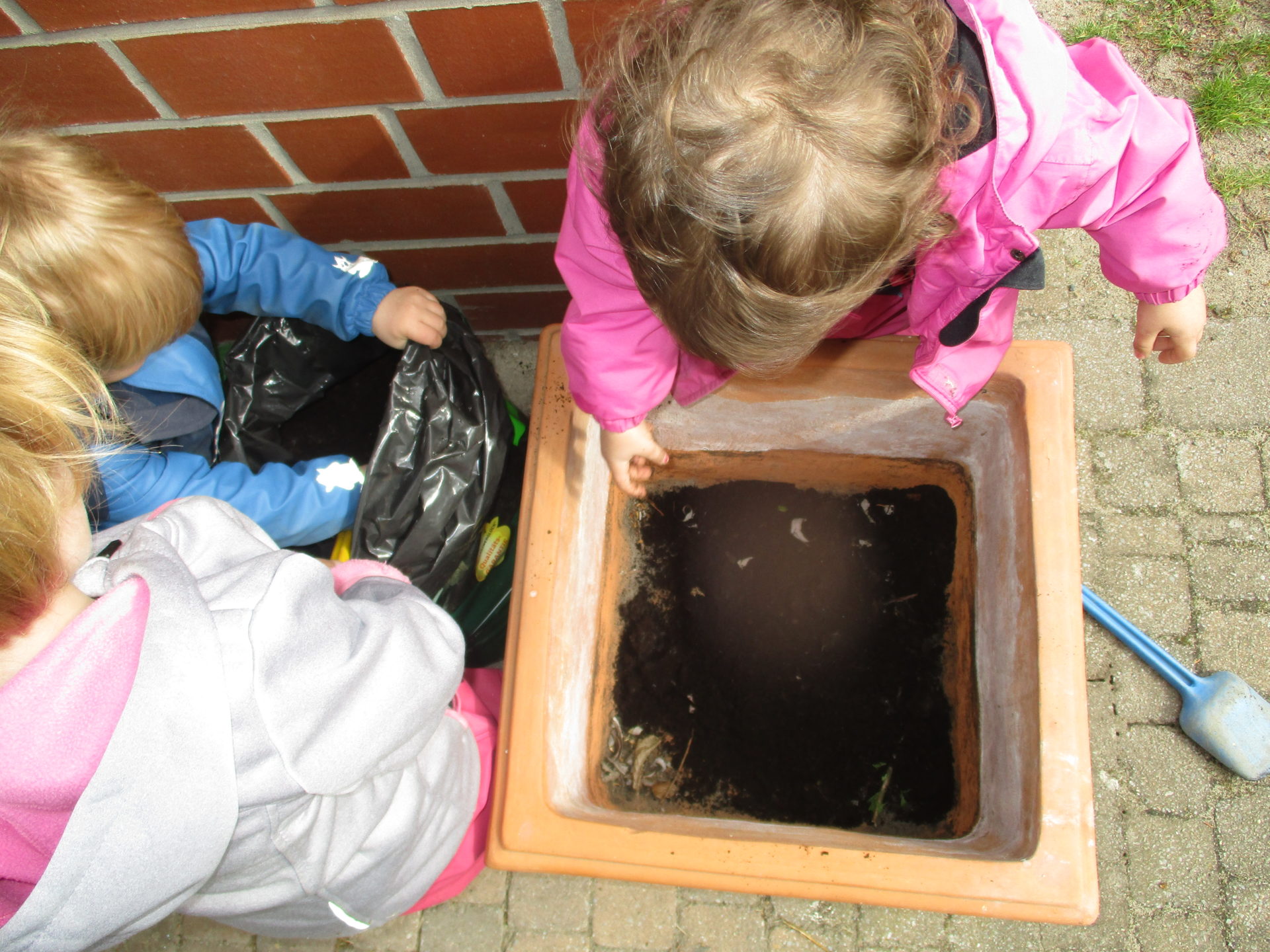 Pflanzaktion im Kindergarten