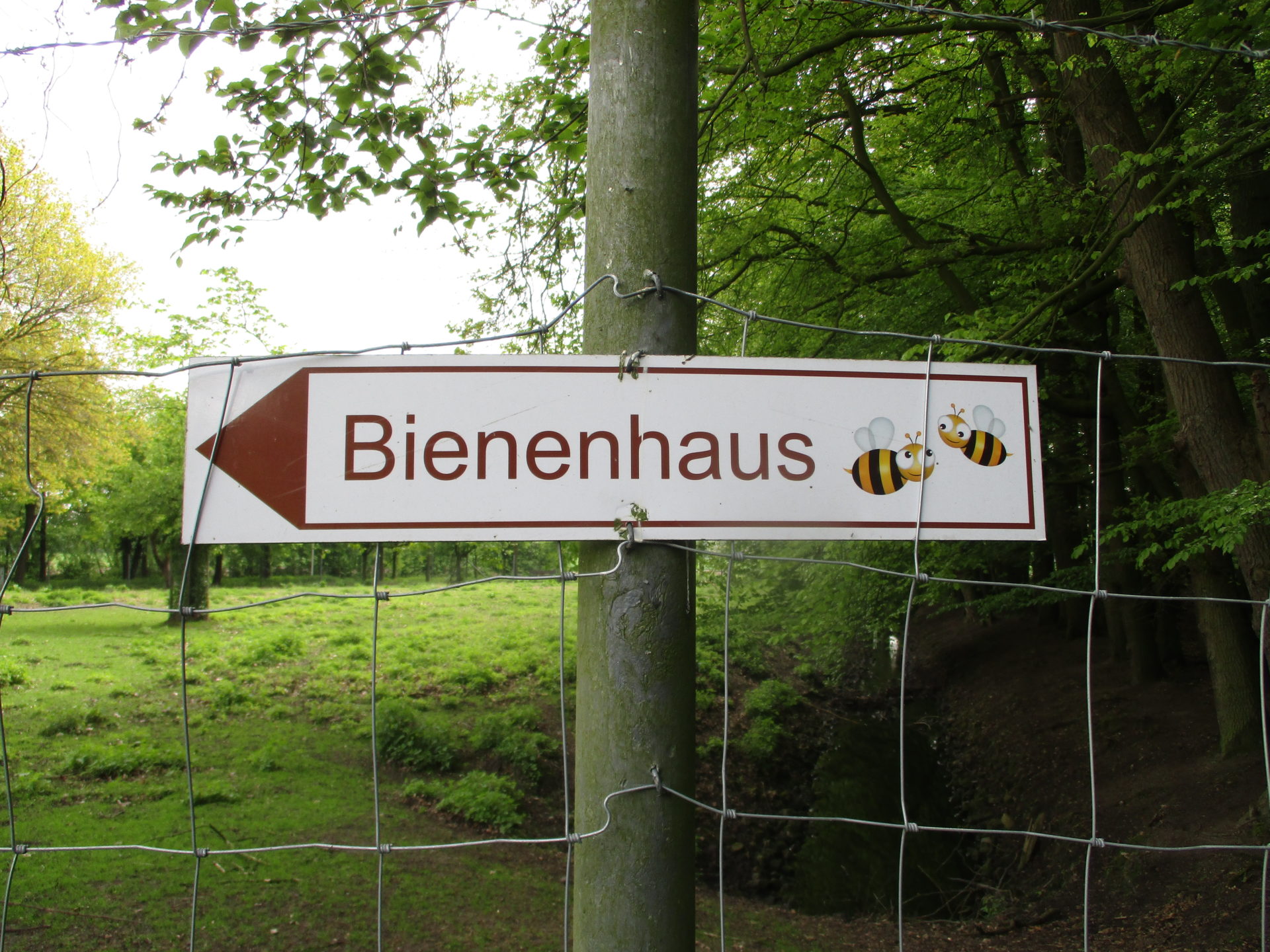 Ausflug zum „Bienenhaus“