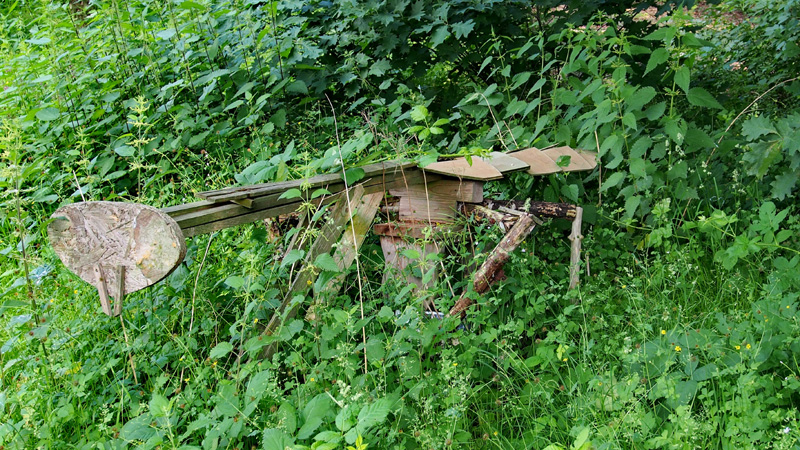 Ein Paradis für Bienen und Insekten – das Naturgebiet der Grundschule Pantrings Hof