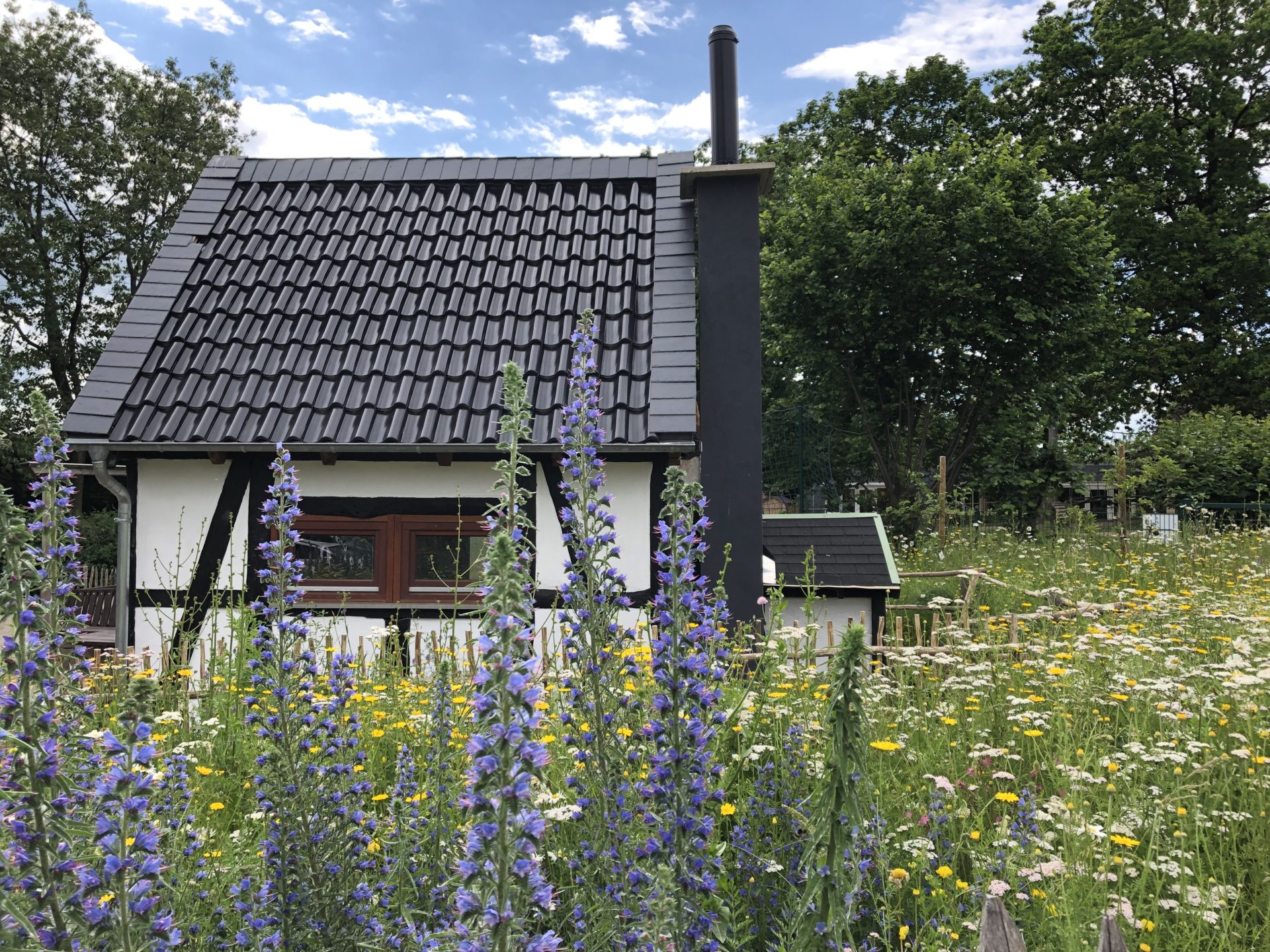 Backes – Blüten – Bienen / Bürgerverein Wipperfeld