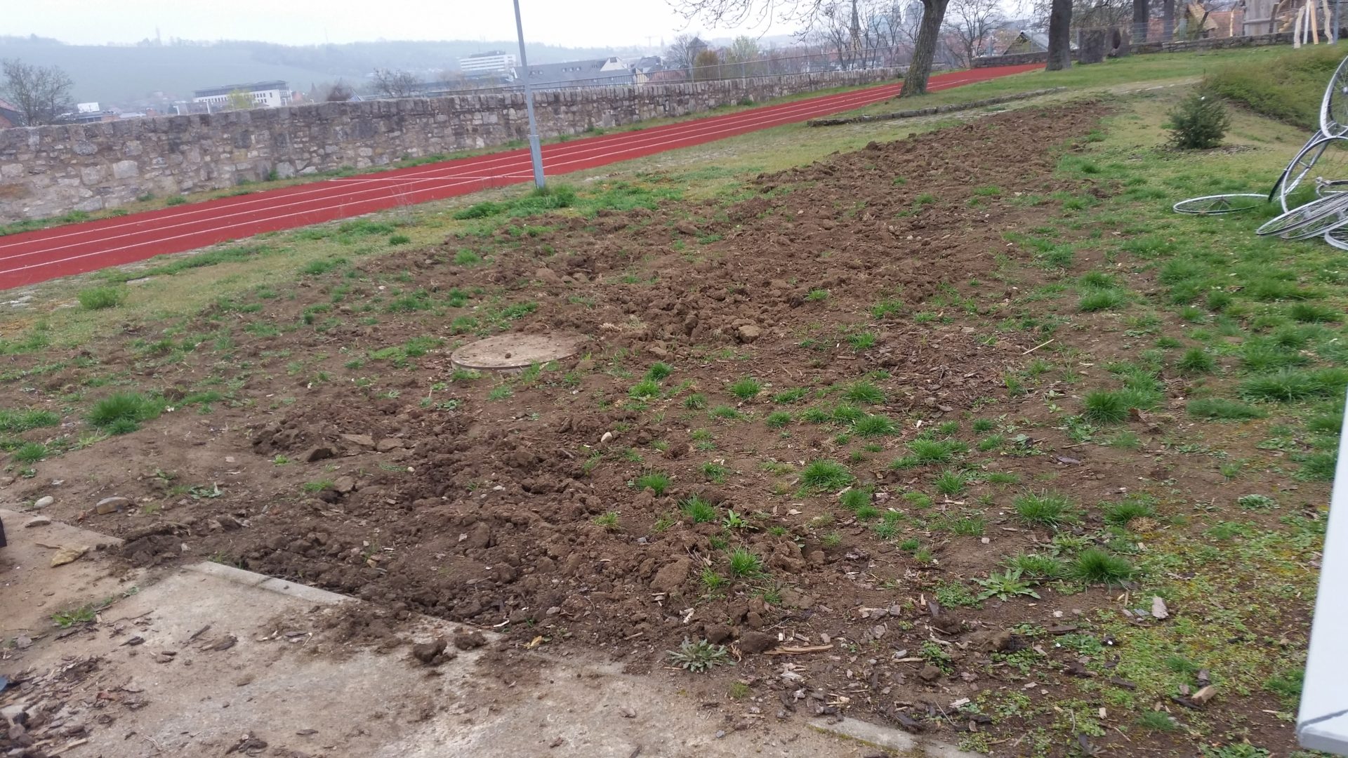 Die Bienenflüsterer sähen ca 100m² Wildblumenwiese an.