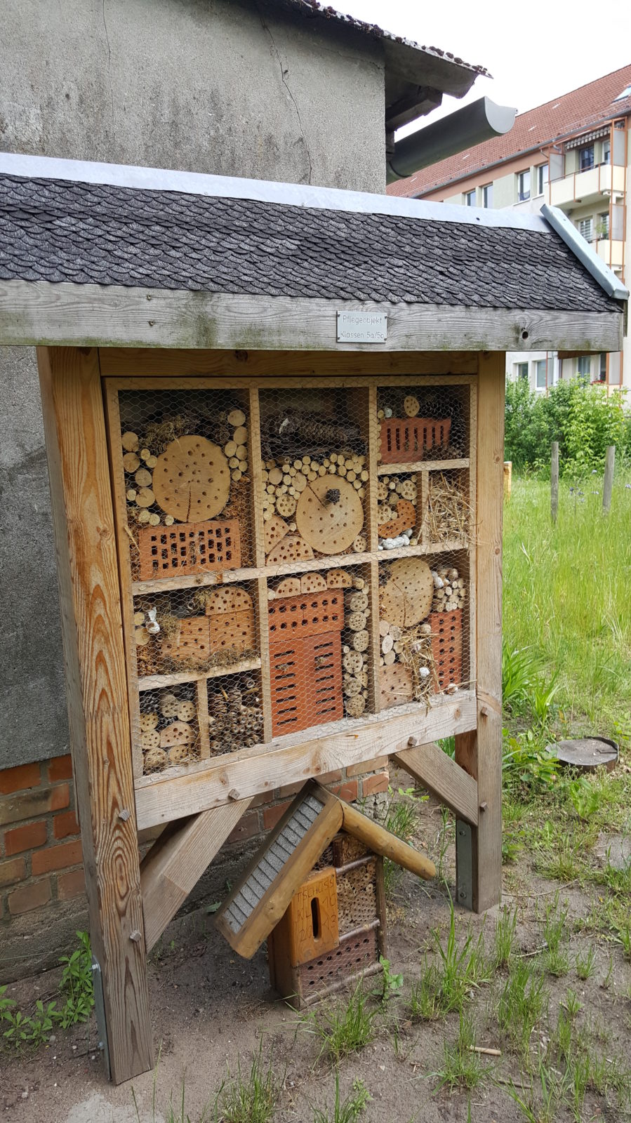 Die Schüler der Klassen 5a/5b der Förderschule Ludwigslust:  Wir tun was für Bienen