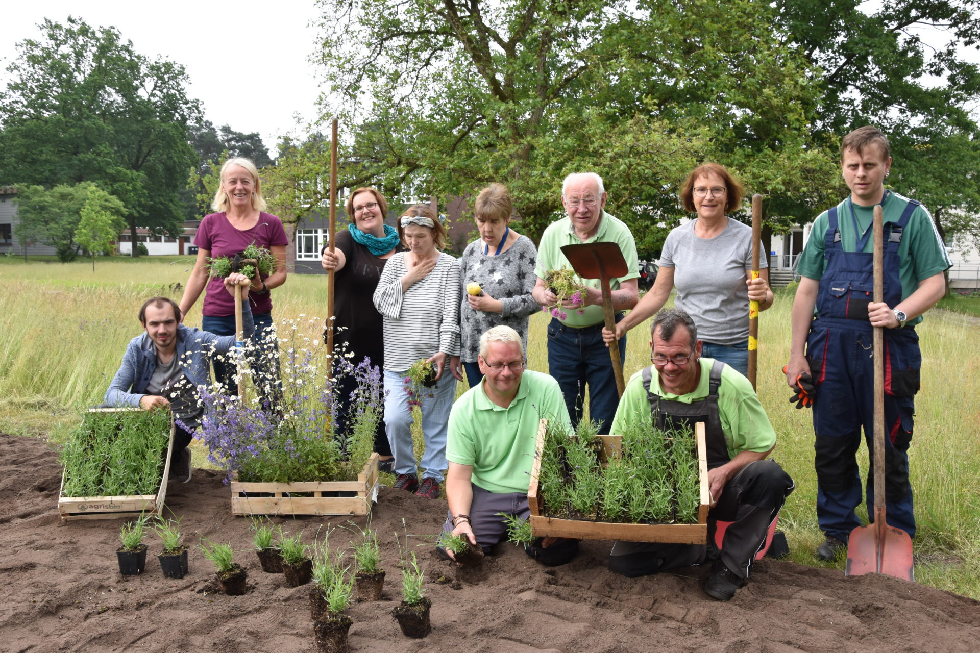 Bienenleben an der Lutter
