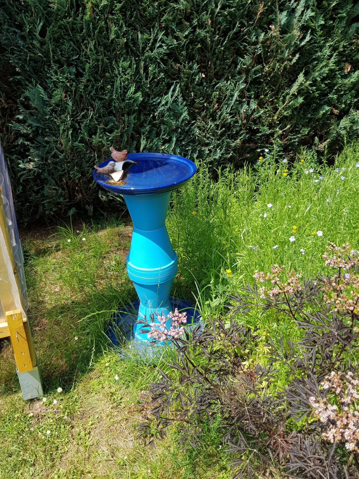 Insektenhotel und Bepflanzung