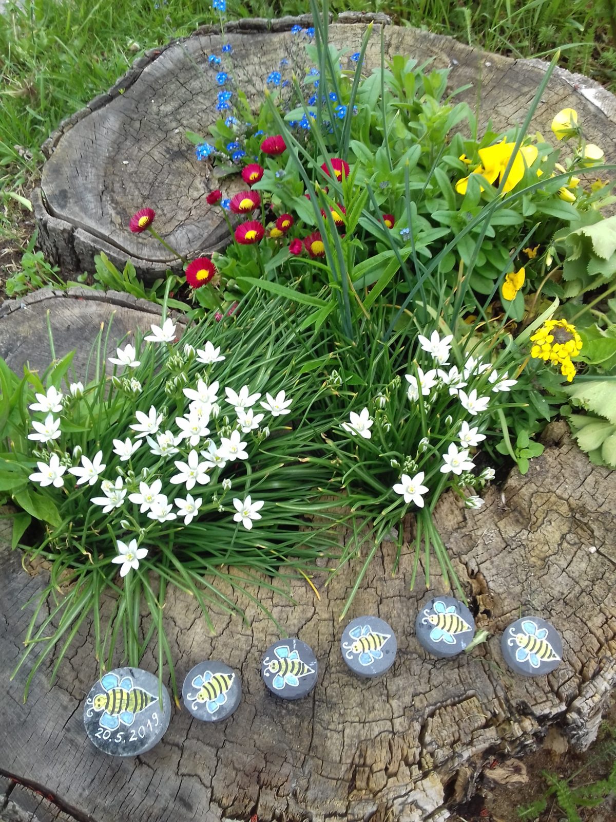 Bunte Insel für die Bienen.