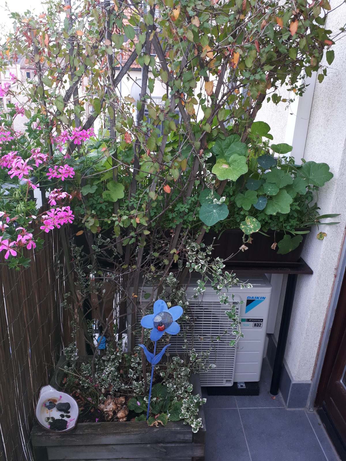 Insektennische auf dem Stadtbalkon