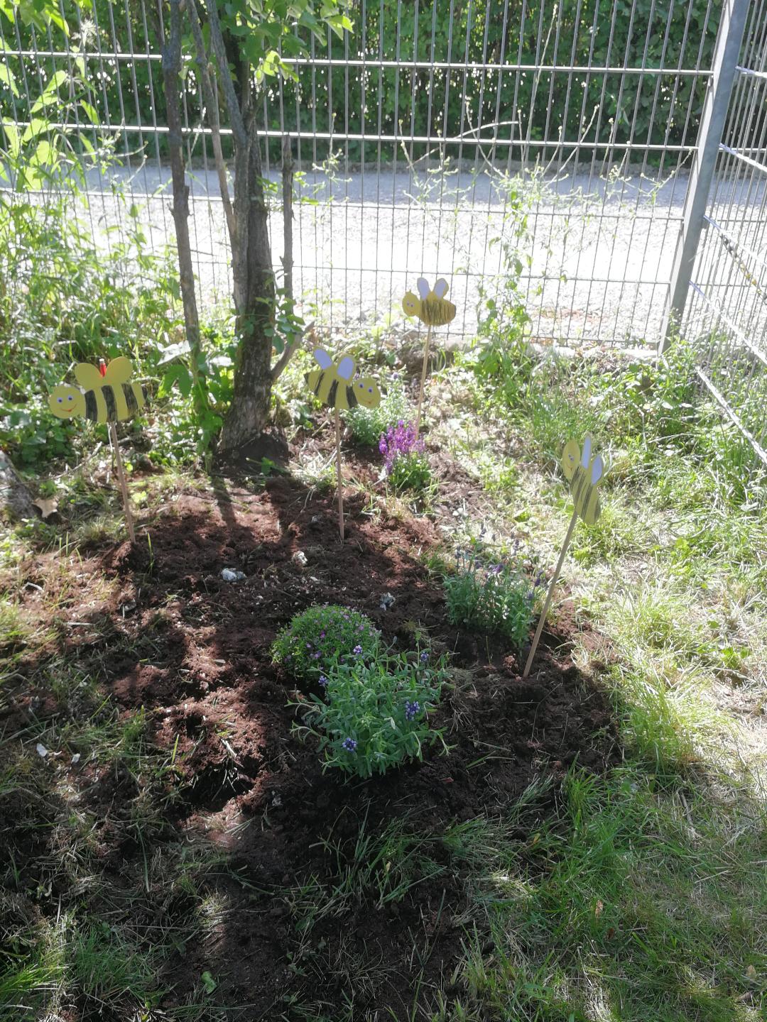 Unser Projekt „Bienen und Insekten“