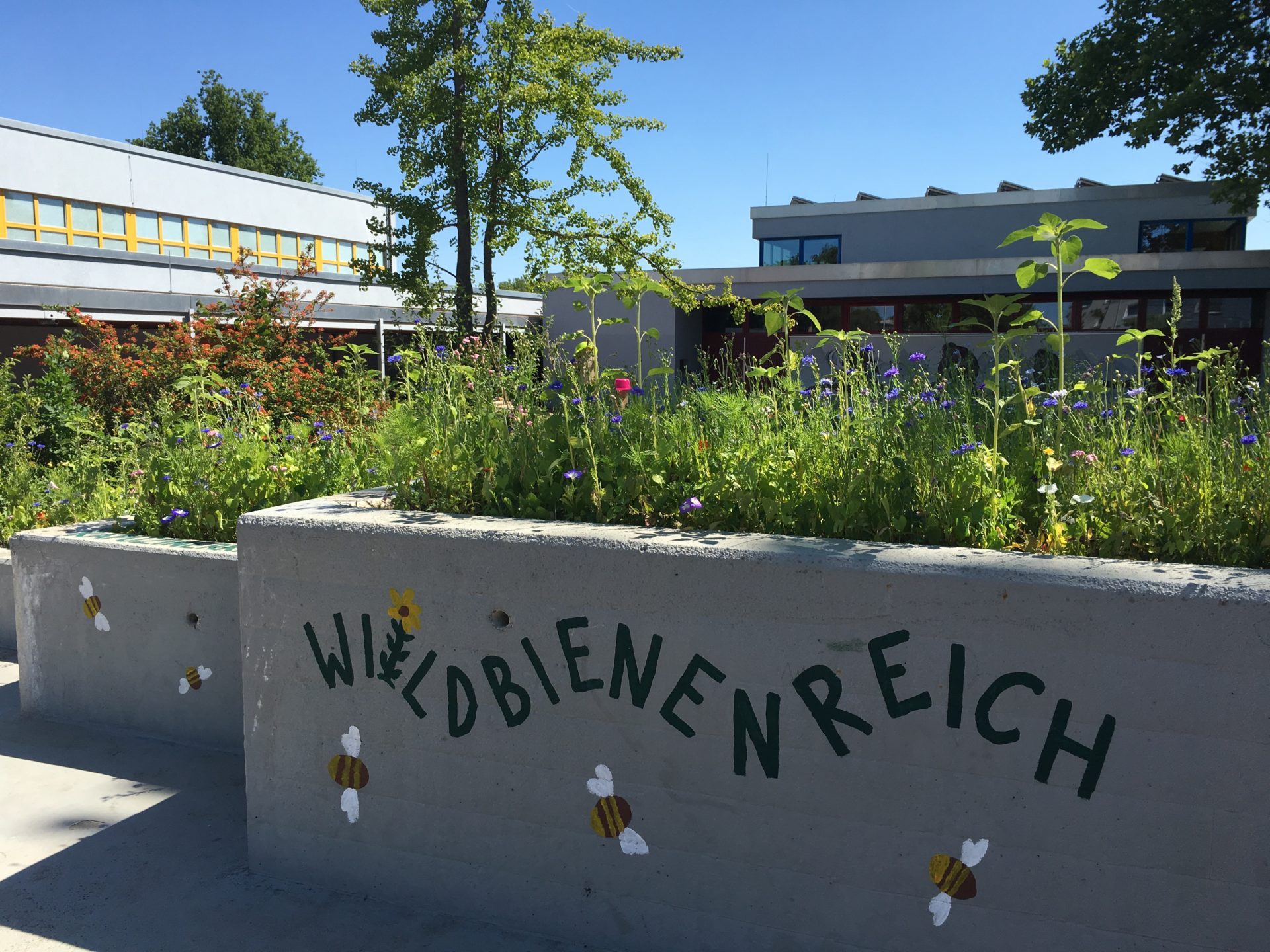 Wildbienenreich