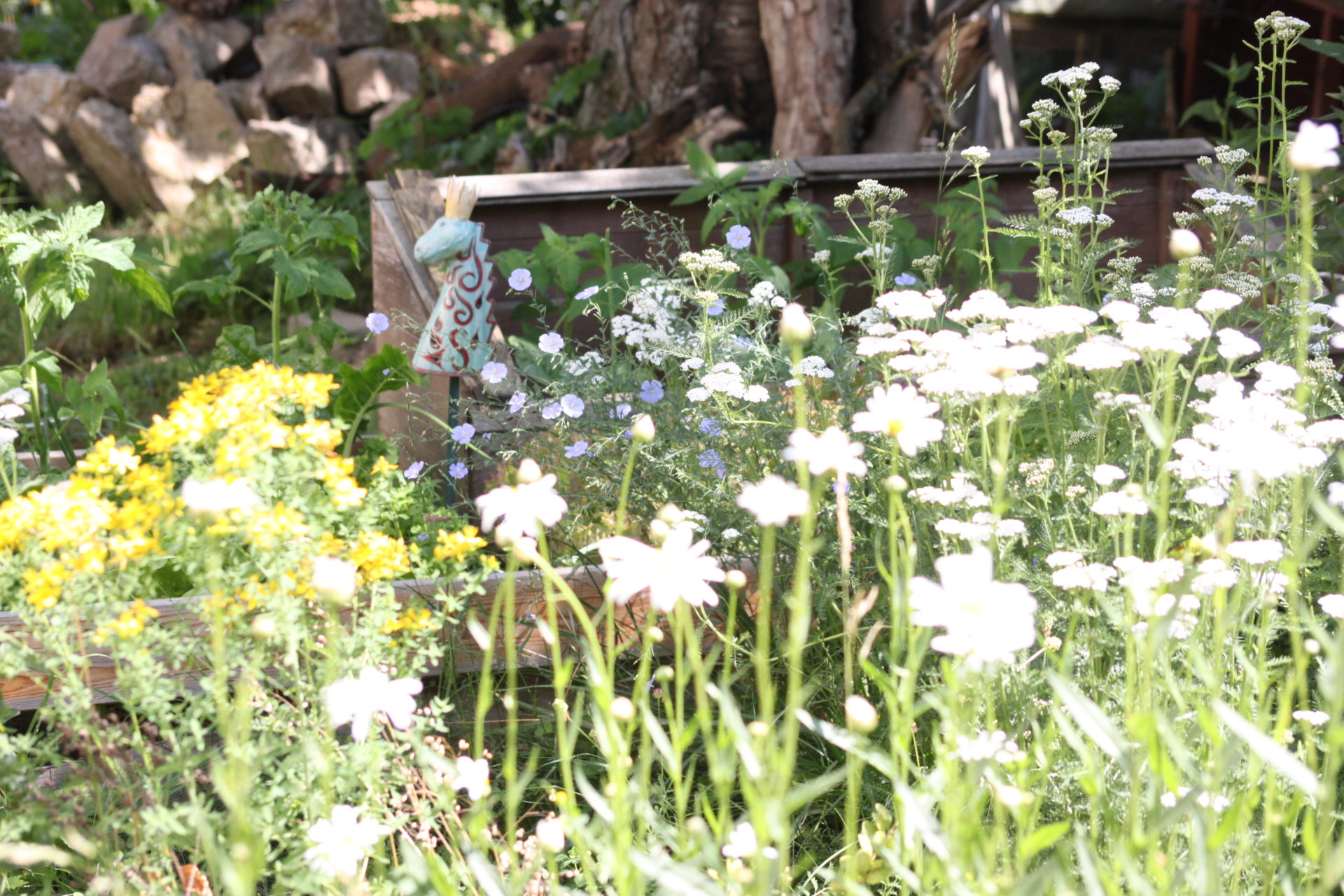 Hortus Sedes…auf dem Weg zum Wohlfühlgarten
