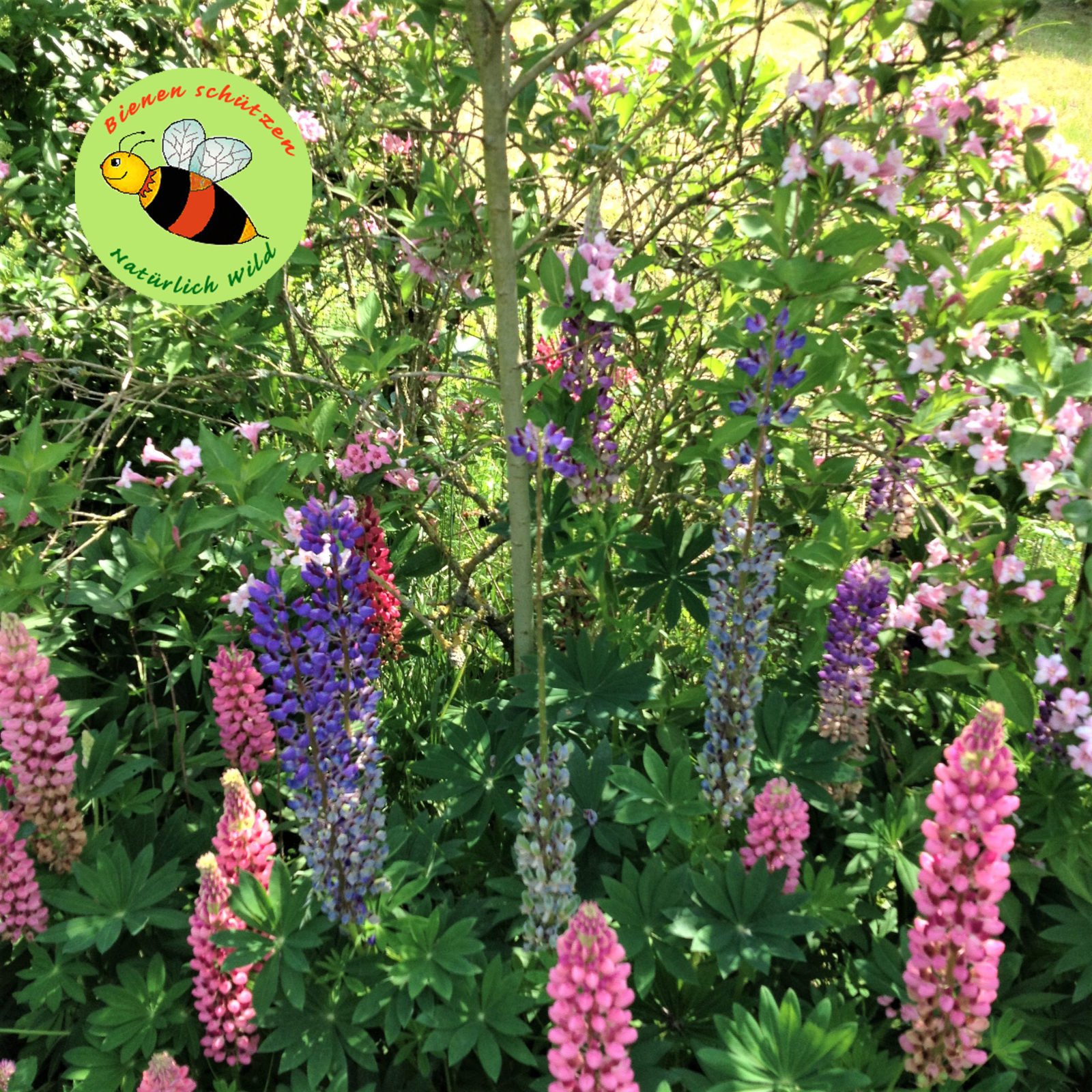 BIENEN SCHÜTZEN – NATÜRLICH WILD