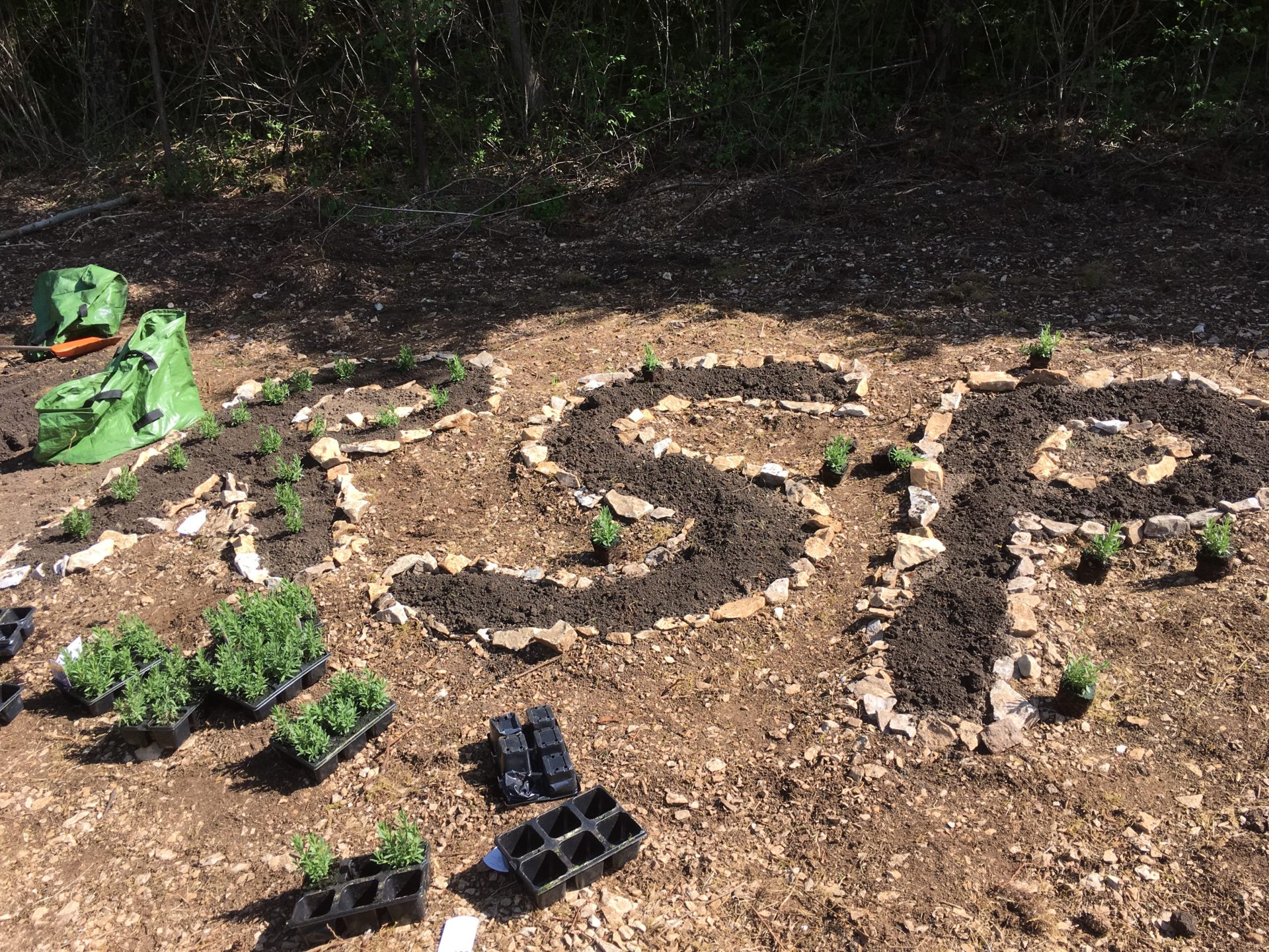 Ab in den STREBERGARTEN