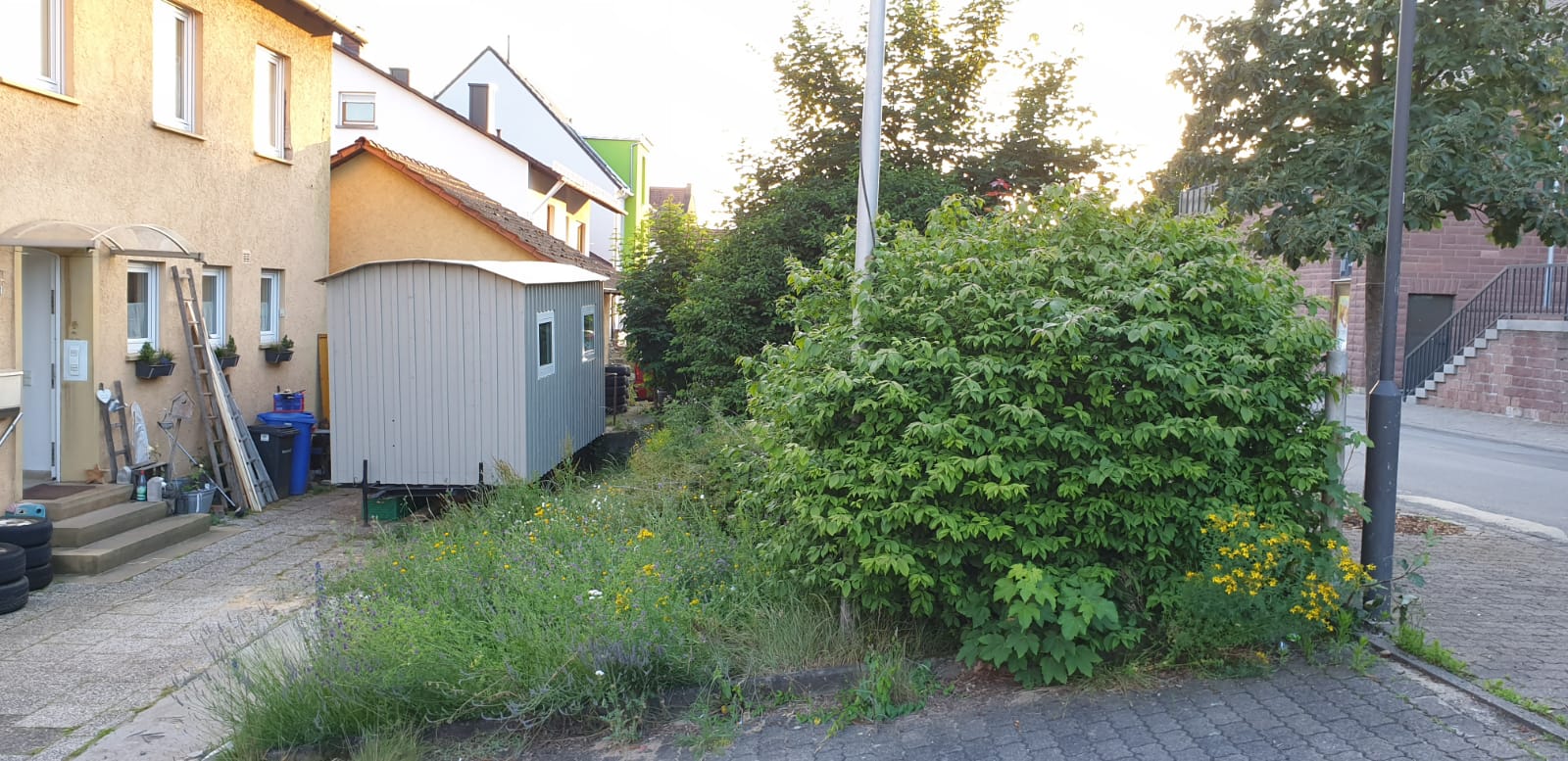 Vorgarten wird zum Blumenparadies