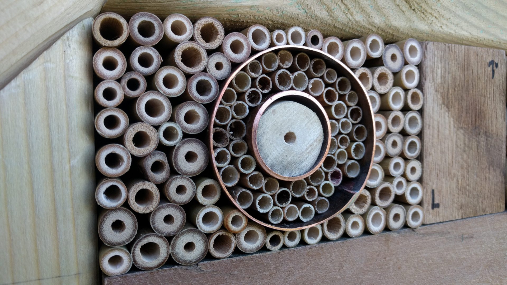 Insektenhotel 2019/2020