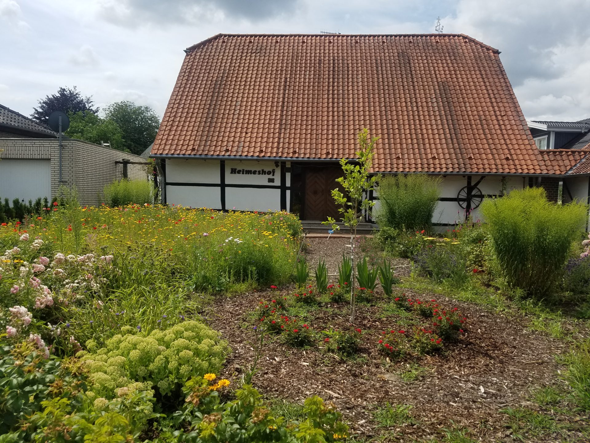 Wildblumenwiese für den Heimeshof