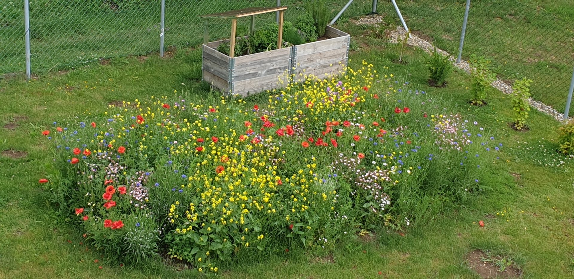 Bienen und Hummeln Paradies