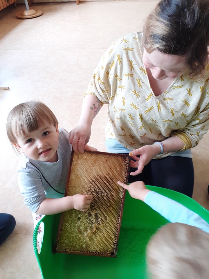 Wie wunderbar ist das denn☺️ Wir bekommen eine Bienenwabe geschenkt